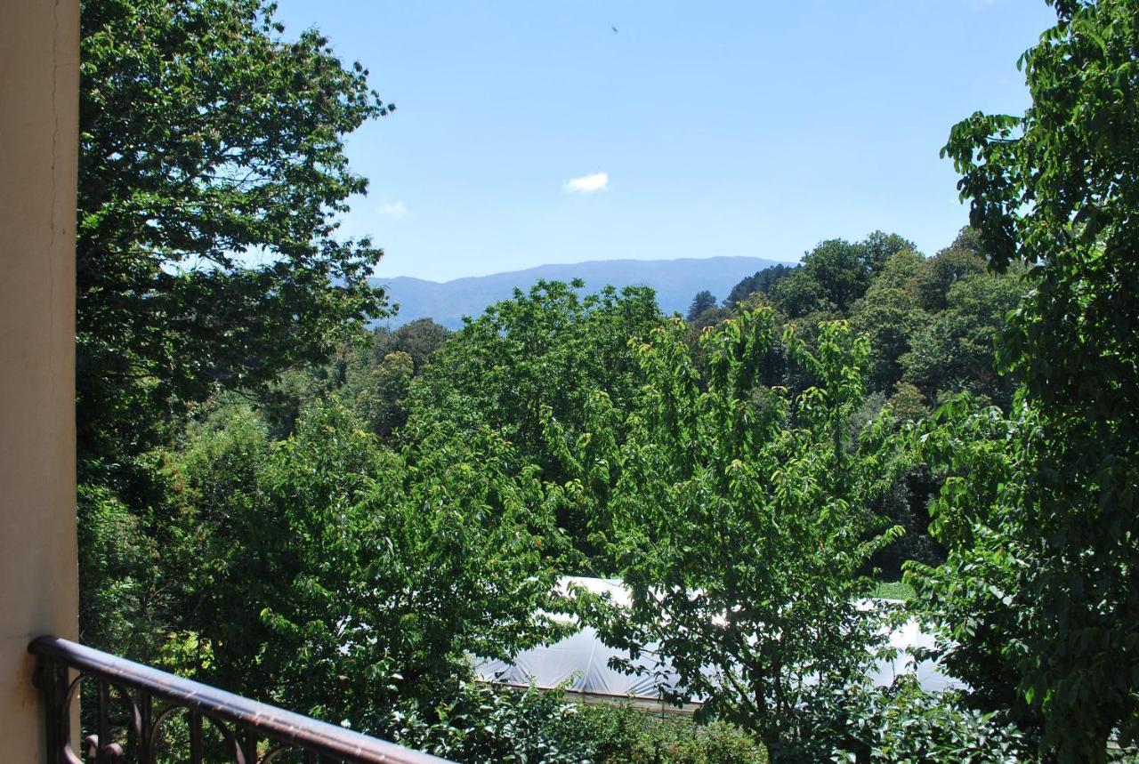 Agriturismo Roseto Villa Serra San Bruno Dış mekan fotoğraf